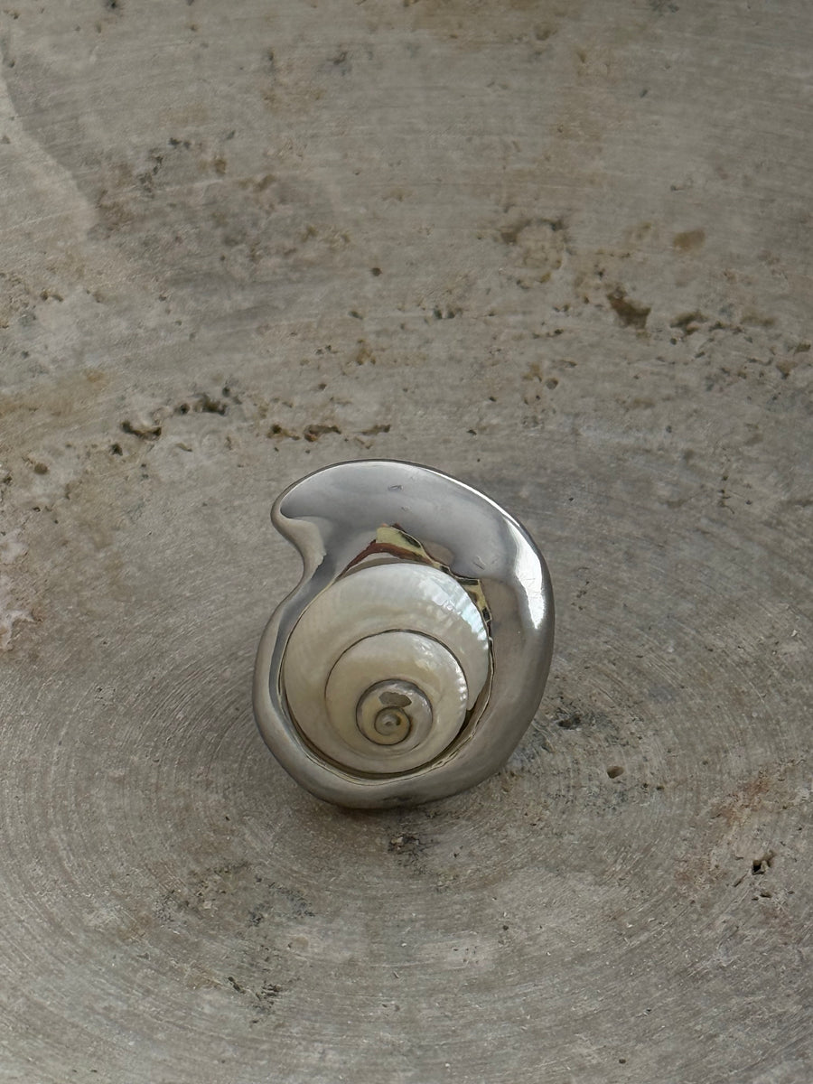 Caracol Blanco Ring